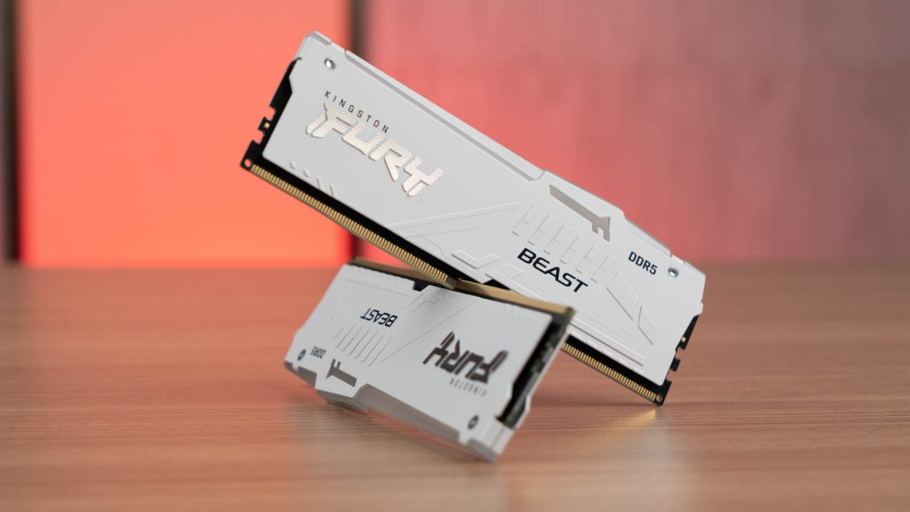 Kingston Fury Beast D5 05