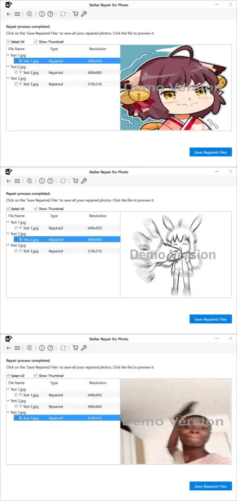 Stellar Repair for Photo Results Preview